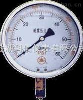 耐震壓力表廠(chǎng)家